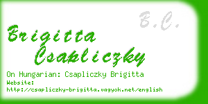 brigitta csapliczky business card